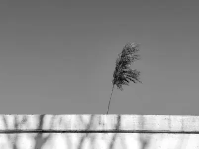 Casino Classy Slots Application mobile